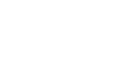 PE 303